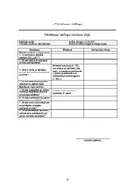 Referāts 'Audits', 6.