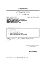 Referāts 'Audits', 7.