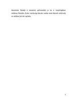 Referāts 'SIA "Solis uz nākotni"', 8.