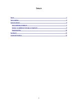 Referāts 'Kastu sistēma Senajā Indijā', 2.