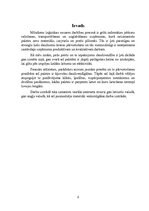 Prezentācija 'Paletes', 2.