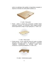 Prezentācija 'Paletes', 8.