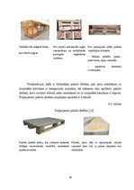 Prezentācija 'Paletes', 16.