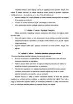 Referāts 'Baltija 21', 11.