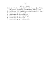 Referāts 'Baltija 21', 19.