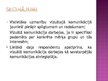 Prezentācija 'Vizuālā komunikācija kā pārliecināšanas forma interneta medijos', 13.