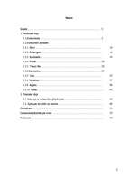 Referāts 'Jauniešu subkultūru pieņemšana sabiedrībā', 2.