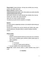 Referāts 'Jauniešu subkultūru pieņemšana sabiedrībā', 5.