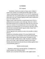 Referāts 'Jauniešu subkultūru pieņemšana sabiedrībā', 26.