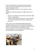 Referāts 'Jauniešu subkultūru pieņemšana sabiedrībā', 27.