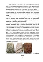 Referāts 'Granīts', 3.