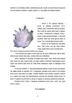 Referāts 'Granīts', 9.