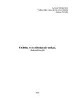 Referāts 'Frīdriha Nīčes filosofiskie uzskati', 1.