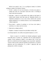 Referāts 'Transporta ekonomika', 15.