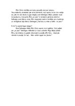 Konspekts '"Pērs Gints." Atbildes uz jautājumiem par 5.cēlienu', 3.