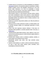Diplomdarbs 'Rīgas pašvaldības policija kā administratīvo tiesību subjekts', 36.
