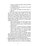 Referāts 'Civiltiesiskās atbildības apdrošināšana', 11.