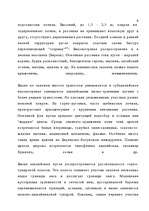 Referāts 'Лесные ресурсы', 8.