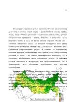 Referāts 'Лесные ресурсы', 11.