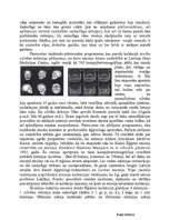 Referāts 'Ārzemju Mākslas muzejs', 6.