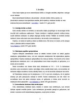 Referāts 'Internetbanka', 9.