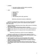 Referāts 'Personāla organizācija uzņēmumā', 3.