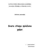 Referāts 'Svara stieņa spiešana guļus anatomiskā skatījumā', 1.