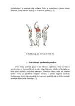 Referāts 'Svara stieņa spiešana guļus anatomiskā skatījumā', 8.