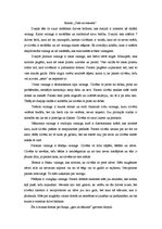 Eseja 'Rainis "Gals un sākums"', 1.