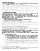 Konspekts 'Konspekts (biļešu atbildes) filosofijas eksāmenam', 4.