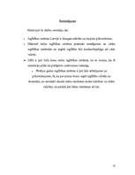 Referāts 'Izglītības un zinātnes ministrijas darba nozīme izglītības sistēmā', 14.