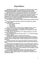 Biznesa plāns 'Biznesa plāns', 2.