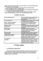 Biznesa plāns 'Biznesa plāns', 6.