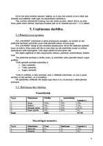 Biznesa plāns 'Biznesa plāns', 9.