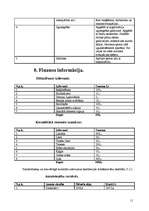 Biznesa plāns 'Biznesa plāns', 11.