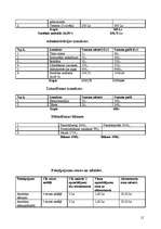 Biznesa plāns 'Biznesa plāns', 12.