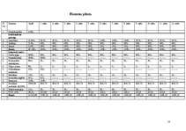 Biznesa plāns 'Biznesa plāns', 14.