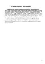 Biznesa plāns 'Biznesa plāns', 16.