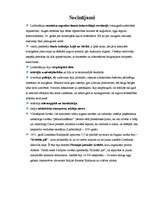 Referāts 'Viktoriānisma laikmets Lielbritānijā', 10.