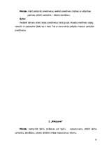 Referāts 'Rotaļspēles domāšanas attīstībai', 10.