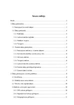 Referāts 'Globālās ekoloģijas problēmas un risinājumi to mazināšanai', 1.