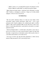 Referāts 'Globālās ekoloģijas problēmas un risinājumi to mazināšanai', 13.