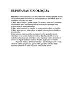 Konspekts 'Elpošana', 6.