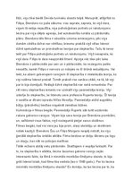 Eseja 'Hičkoka filma “Virve”', 2.