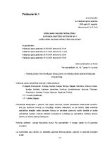 Prakses atskaite 'Prakses atskaite', 17.