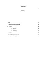 Referāts 'Zināmākās datu ieguves metodes pētījumā un to raksturojums', 2.