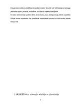 Referāts 'Mūzikas instrumenta spēle pusaudžu intelektuālajā attīstībā', 4.