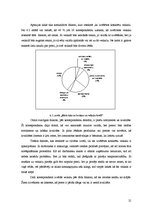 Referāts 'Veikalu "Maxima" un "Rimi" analīze', 21.