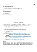 Konspekts 'Екабпилс', 6.