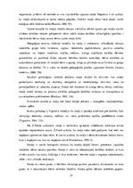 Diplomdarbs 'Rotaļu izmantošanas iespējas 2-3 gadus vecu bērnu saskarsmes prasmju veidošanā', 25.